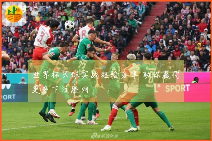 世界杯买球实战经验分享 助你赢得更多下注胜利