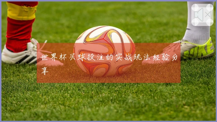 世界杯买球投注的实战玩法经验分享
