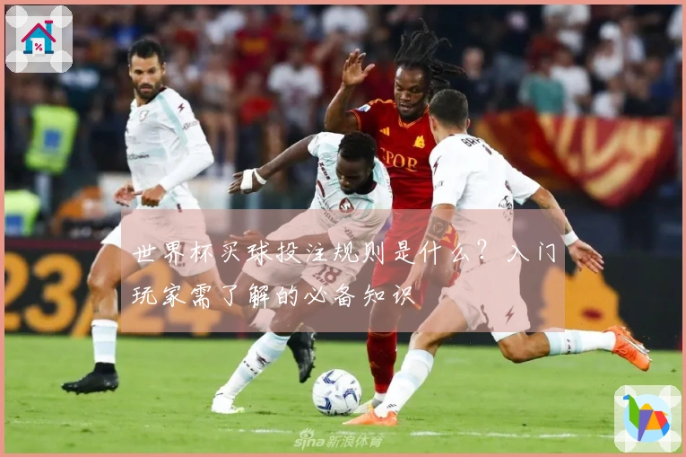 世界杯买球投注规则是什么？入门玩家需了解的必备知识