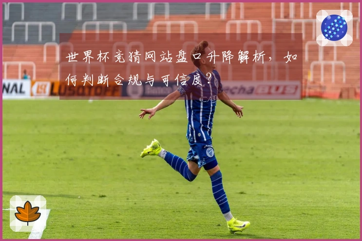 世界杯竞猜网站盘口升降解析，如何判断合规与可信度？