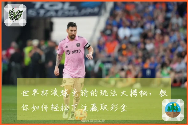 世界杯滚球竞猜的玩法大揭秘，教你如何轻松下注赢取彩金