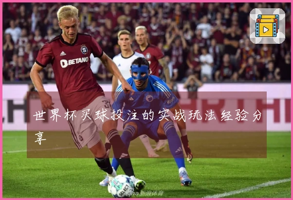 世界杯买球投注的实战玩法经验分享