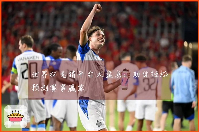 世界杯竞猜平台大盘点，助你轻松预测赛事赢家