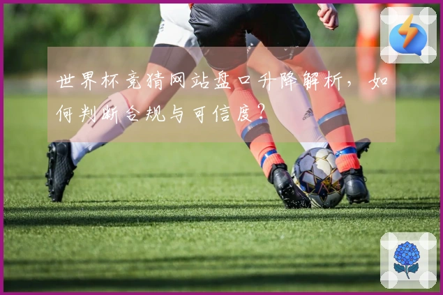 世界杯竞猜网站盘口升降解析，如何判断合规与可信度？