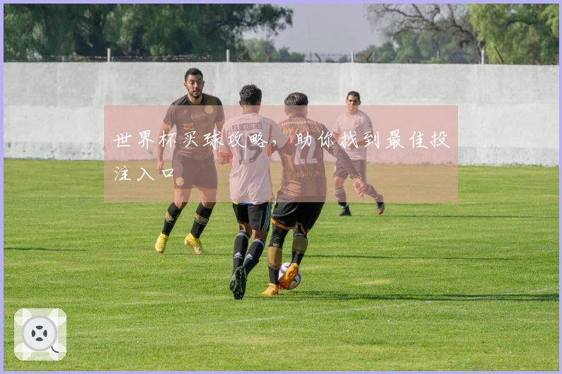 世界杯买球攻略，助你找到最佳投注入口