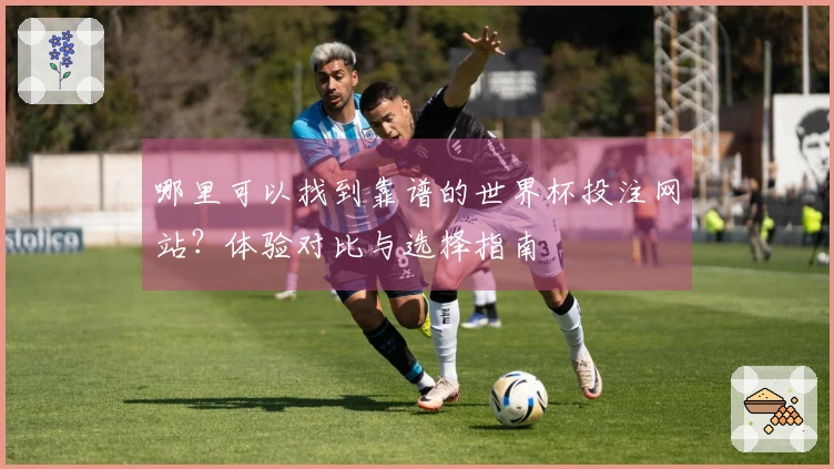 哪里可以找到靠谱的世界杯投注网站？体验对比与选择指南