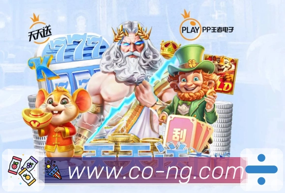 奖项证书